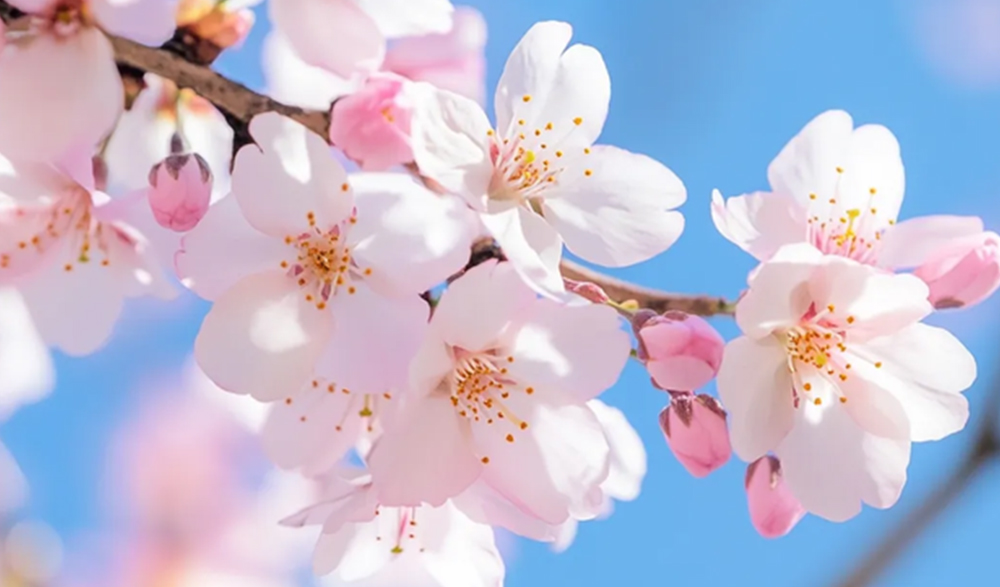 三月三上巳节 | 文化传承与Agin games数码印刷的创新融合